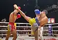 Romvong preah chan(round moon) kick