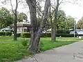Rosalie Morton Park