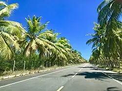 AL-101 in Roteiro