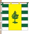 Flag of Rubizhne