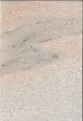 Rușchița marble Champagne