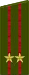 Lieutenant Colonel