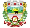 Official seal of São Pedro das Missões