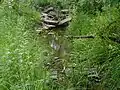 Simonson Brook at Barbieri Court, the drainage of the pool