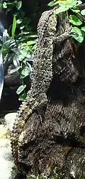 Leipzig Zoo