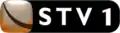 STV1 logo (2001–2004)