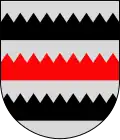 Coat of arms of Saarijärvi
