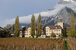 Salenegg Castle