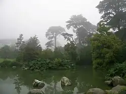 McBean Wildfowl Pond and Primitive Plant Garden