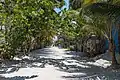 Sandy streets of Holbox