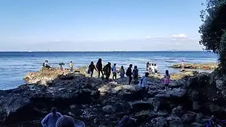 Northern Cove