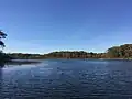 Fall day on Saunders Lake