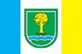 Flag of Savranskyi Raion