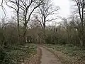 Scadbury Park