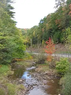 Second Fork Larrys Creek