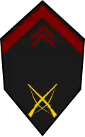Soldat de 1ère classe (Senegalese Army)