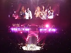 Shakira bringing fans on stage to do a Belly dance choreography during "Whenever, Wherever"