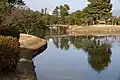 Southern aspect of the pond