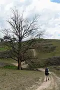 The track where it passes through the Megalong Valley