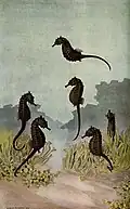 Six seahorses in the sea
