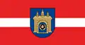 Flag of Skuodas