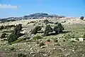 Jebel Aansariye