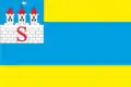 Flag of Sniatyn