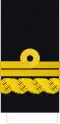 Vice almirante (Spanish Navy)[55]