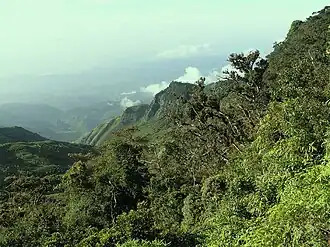 World's End provides a cross section to witness function of cloud forests