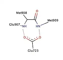 Helixes