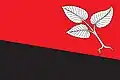 Flag of Staré Město pod Landštejnem