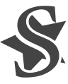 Starter 2000 Icon