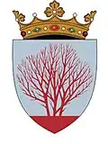 Coat of arms of Sîngerei