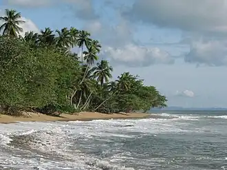 Steps Beach