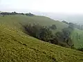 Lynchets on Coombe Hill, Stroud