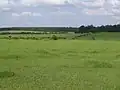 Fields in Sugartown