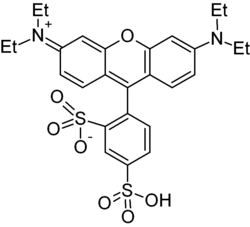 Sulforhodamine B