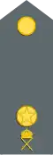 Sergeant (Swedish Army)[96]