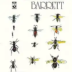An illustration of 12 insects arranged in a grid against a plain white background.