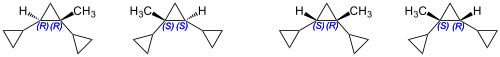 Four Syntin Stereoisomers