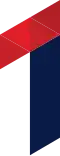 TVCG 1