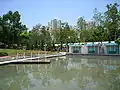 Model boat pool