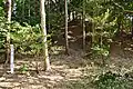 Takaneyama Kofun