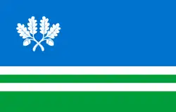 Flag of Tapa Parish