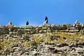 Blackbirds perched on top of the cella wall.