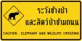 Elephant crossing