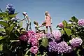 The Flowers from Journey to everywhere