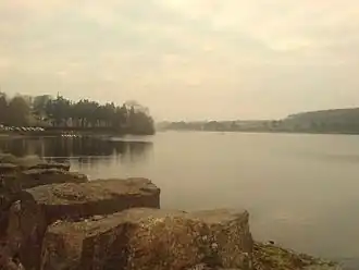 A misty shot of a lake surrounded by trees
