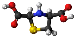 Ball-and-stick model