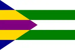 Flag of Toužetín